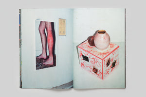 Thomas Mailaender — LES BELLES IMAGES