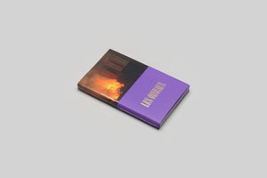 Lola Raban, Jean-René Etienne — LES OISEAUX book cover