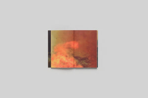 Lola Raban, Jean-René Etienne — LES OISEAUX page 10