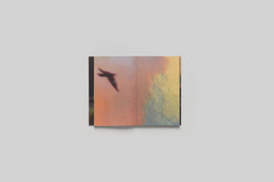 Lola Raban, Jean-René Etienne — LES OISEAUX page 11