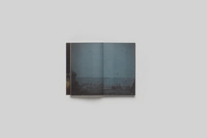Lola Raban, Jean-René Etienne — LES OISEAUX page 20