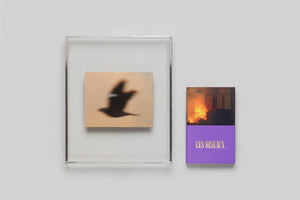Lola Raban, Jean-René Etienne — LES OISEAUX (Special edition) book cover