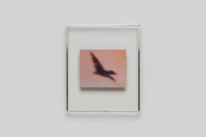 Lola Raban, Jean-René Etienne — LES OISEAUX (Special edition) page 6