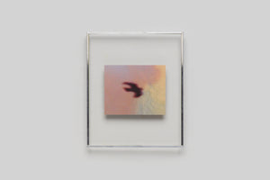 Lola Raban, Jean-René Etienne — LES OISEAUX (Special edition) page 5