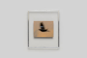 Lola Raban, Jean-René Etienne — LES OISEAUX (Special edition) page 2