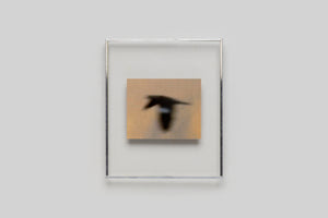 Lola Raban, Jean-René Etienne — LES OISEAUX (Special edition) page 3