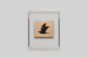 Lola Raban, Jean-René Etienne — LES OISEAUX (Special edition) page 4