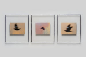 Lola Raban, Jean-René Etienne — LES OISEAUX (Special edition) page 8
