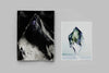Steve Harries — OCTOPUS (Special edition)