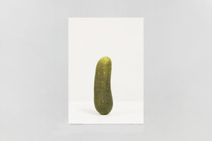 Erwin Wurm — SELF PORTRAIT AS 47 PICKLES (Special edition)