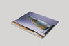 Klaus Speidel & Benjamin Hugard — SPARKLING PAST